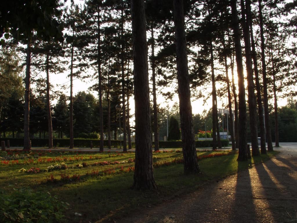 Hotel Ravni Gaj Knic Bagian luar foto